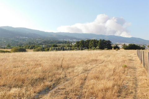 Helårsgrund i Covilha, Castelo Branco, Covilha - € 350.000 | Ref: 111220185 - foto 11