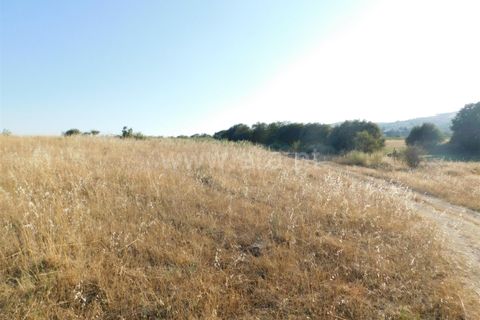 Helårsgrund i Covilha, Castelo Branco, Covilha - € 350.000 | Ref: 111220185 - foto 13