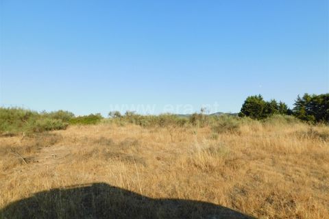 Helårsgrund i Covilha, Castelo Branco, Covilha - € 350.000 | Ref: 111220185 - foto 15