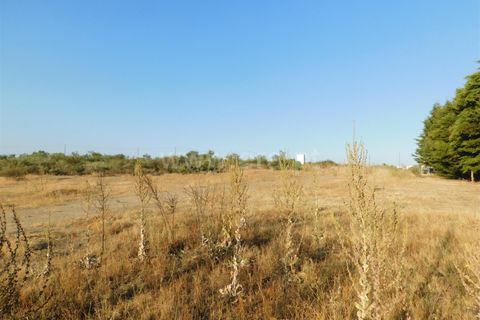 Helårsgrund i Covilha, Castelo Branco, Covilha - € 350.000 | Ref: 111220185 - foto 16