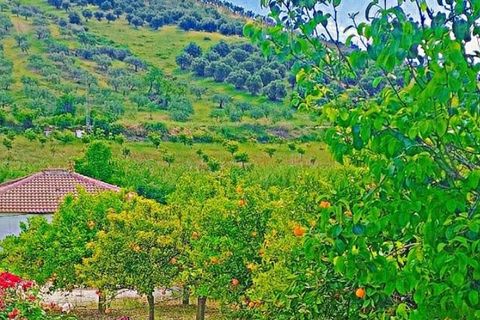 Villa i Tolox, Malaga, Tolox - € 170.000 | Ref: CLDA-98805NEW - foto 9