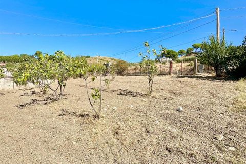 Tomt i Chiusa Sclafani, Palermo, Chiusa Sclafani - € 14 000 | Ref: 8682TG53504 - foto 3