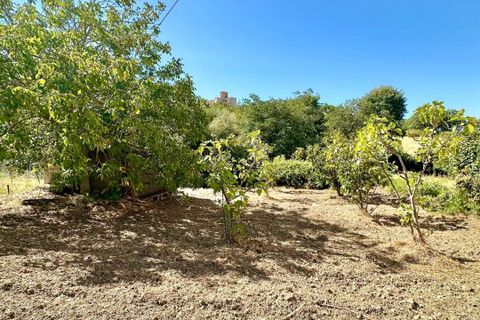 Tomt i Chiusa Sclafani, Palermo, Chiusa Sclafani - € 14 000 | Ref: 8682TG53504 - foto 4