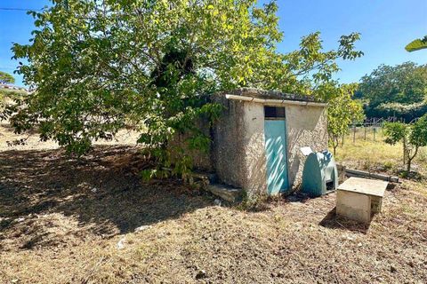 Tomt i Chiusa Sclafani, Palermo, Chiusa Sclafani - € 14 000 | Ref: 8682TG53504 - foto 5