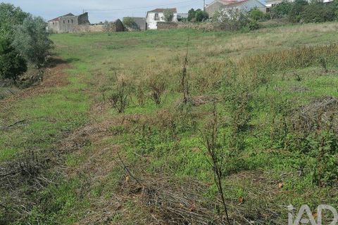 Byhus i Miranda do Corvo, Coimbra, Miranda do Corvo - € 40.000 | Ref: 81286 - foto 16