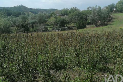 Byhus i Miranda do Corvo, Coimbra, Miranda do Corvo - € 40.000 | Ref: 81286 - foto 21