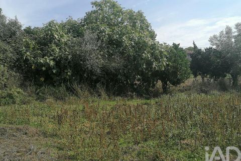 Byhus i Miranda do Corvo, Coimbra, Miranda do Corvo - € 40.000 | Ref: 81286 - foto 22