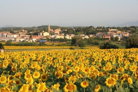 Byhus i Llampaies, Gerona, Llampaies - € 1.100.000 | Ref: 3566 - foto 12