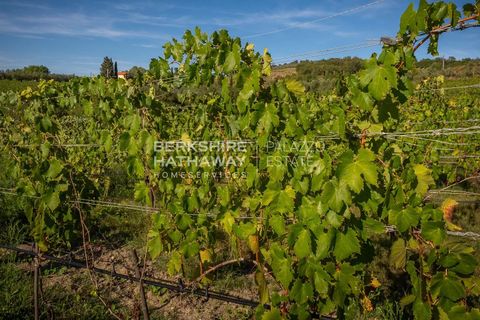 Villa i Manciano, Grosseto, Manciano - € 4.500.000 | Ref: ito3030 - foto 1