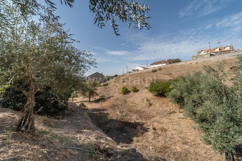 Villa i Covilha, Castelo Branco, Covilha - € 130.000 | Ref: 255250181 - foto 15