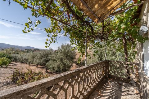 Villa i Covilha, Castelo Branco, Covilha - € 130.000 | Ref: 255250181 - foto 29