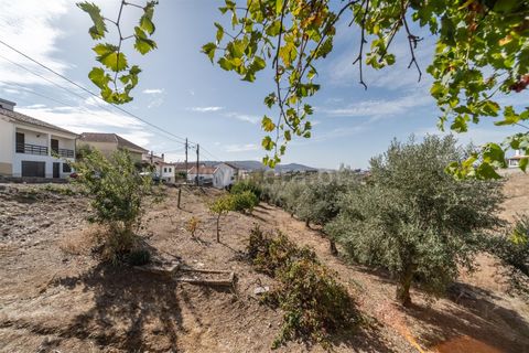 Villa i Covilha, Castelo Branco, Covilha - € 130.000 | Ref: 255250181 - foto 31