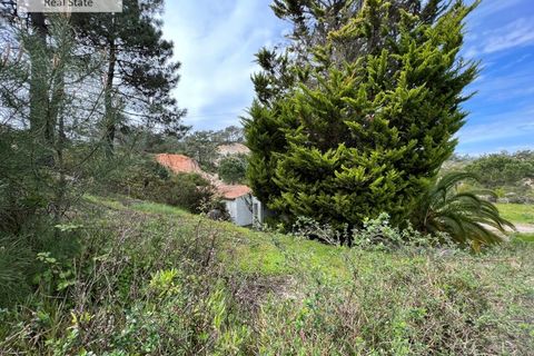 Villa i Sesimbra, Setubal, Sesimbra - € 1.450.000 | Ref: MOR_1156 (2) - foto 17