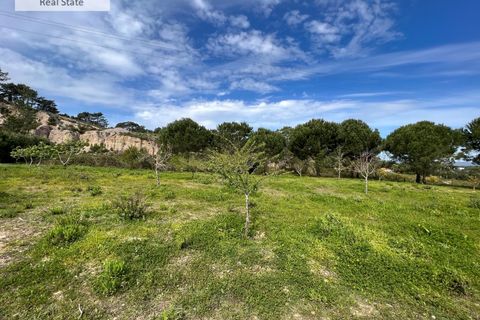 Villa i Sesimbra, Setubal, Sesimbra - € 1.450.000 | Ref: MOR_1156 (2) - foto 19