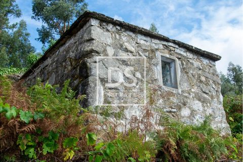 Villa i Marco de Canaveses, Porto, Marco de Canaveses - € 29.000 | Ref: DSPMARCODECANAVEZESACP111 - foto 3