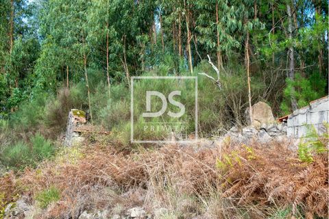 Villa i Marco de Canaveses, Porto, Marco de Canaveses - € 29.000 | Ref: DSPMARCODECANAVEZESACP111 - foto 5