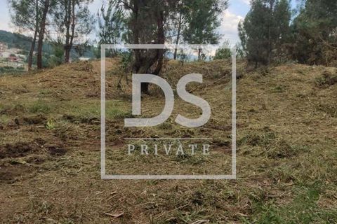 Helårsgrund i Penafiel, Porto, Penafiel - € 99.000 | Ref: DSPMCANAVMA16 - foto 2