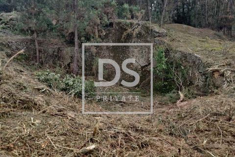 Helårsgrund i Penafiel, Porto, Penafiel - € 99.000 | Ref: DSPMCANAVMA16 - foto 4