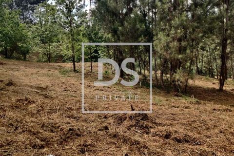 Helårsgrund i Penafiel, Porto, Penafiel - € 99.000 | Ref: DSPMCANAVMA16 - foto 5