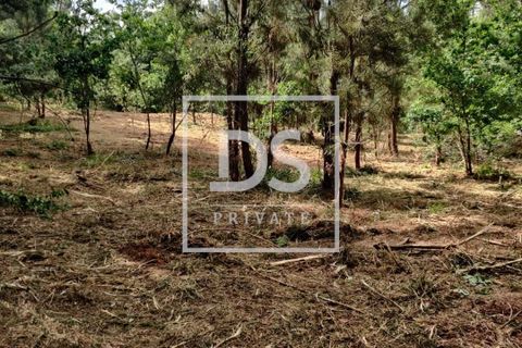 Helårsgrund i Penafiel, Porto, Penafiel - € 99.000 | Ref: DSPMCANAVMA16 - foto 6