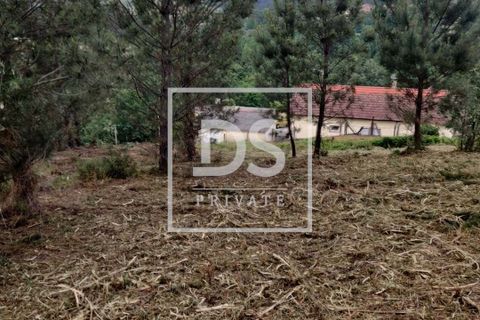 Helårsgrund i Penafiel, Porto, Penafiel - € 99.000 | Ref: DSPMCANAVMA16 - foto 10