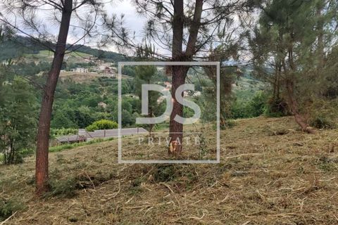 Helårsgrund i Penafiel, Porto, Penafiel - € 99.000 | Ref: DSPMCANAVMA16 - foto 11
