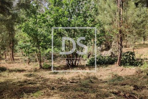 Helårsgrund i Penafiel, Porto, Penafiel - € 99.000 | Ref: DSPMCANAVMA16 - foto 12