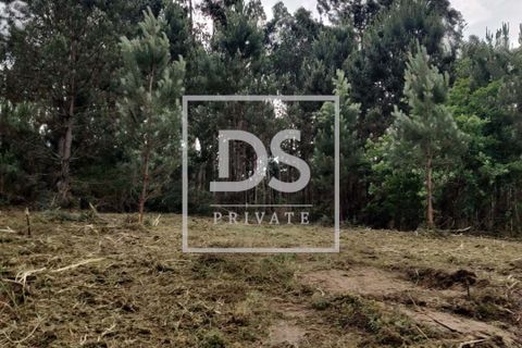 Helårsgrund i Penafiel, Porto, Penafiel - € 99.000 | Ref: DSPMCANAVMA16 - foto 13