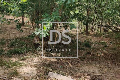 Helårsgrund i Penafiel, Porto, Penafiel - € 99.000 | Ref: DSPMCANAVMA16 - foto 14