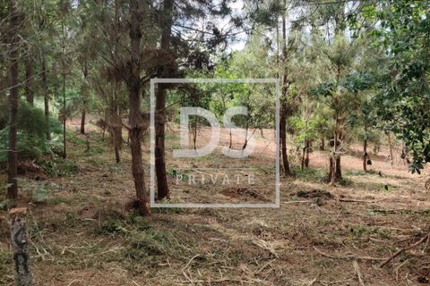 Helårsgrund i Penafiel, Porto, Penafiel - € 99.000 | Ref: DSPMCANAVMA16 - foto 15