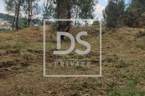 Helårsgrund i Penafiel, Porto, Penafiel - € 99.000 | Ref: DSPMCANAVMA16 - foto 16
