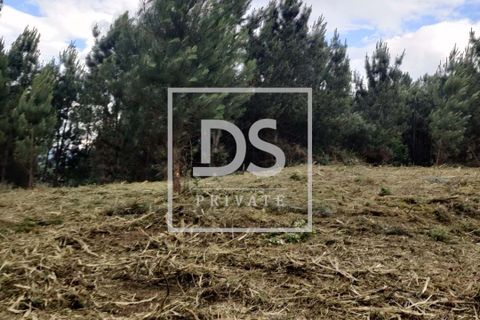 Helårsgrund i Penafiel, Porto, Penafiel - € 99.000 | Ref: DSPMCANAVMA16 - foto 19