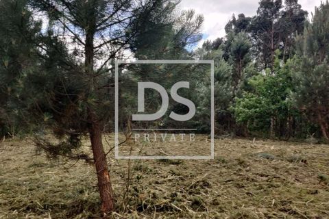 Helårsgrund i Penafiel, Porto, Penafiel - € 99.000 | Ref: DSPMCANAVMA16 - foto 21