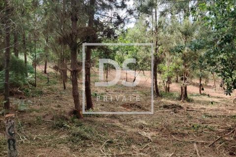 Helårsgrund i Penafiel, Porto, Penafiel - € 99.000 | Ref: DSPMCANAVMA16 - foto 28