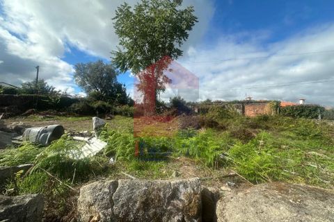 Byhus i Braga, Braga, Braga - € 290.000 | Ref: 08707 - foto 3
