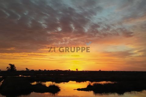 Lejlighed i Aveiro, Aveiro, Aveiro - € 715.000 | Ref: MN_ZG_111279_D - foto 32
