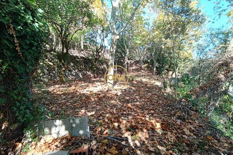 Helårsgrund i Terras de Bouro, Braga, Terras de Bouro - € 80.000 | Ref: ONE141494-53 - foto 3