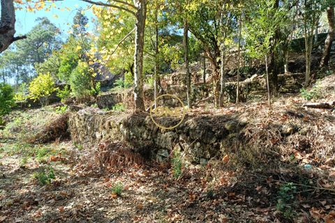 Helårsgrund i Terras de Bouro, Braga, Terras de Bouro - € 80.000 | Ref: ONE141494-53 - foto 4
