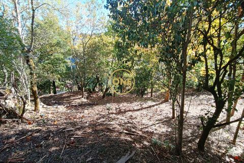 Helårsgrund i Terras de Bouro, Braga, Terras de Bouro - € 80.000 | Ref: ONE141494-53 - foto 5