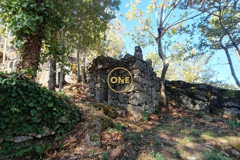 Helårsgrund i Terras de Bouro, Braga, Terras de Bouro - € 80.000 | Ref: ONE141494-53 - foto 7