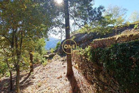 Helårsgrund i Terras de Bouro, Braga, Terras de Bouro - € 80.000 | Ref: ONE141494-53 - foto 8