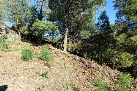 Helårsgrund i Terras de Bouro, Braga, Terras de Bouro - € 80.000 | Ref: ONE141494-53 - foto 10