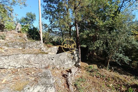 Helårsgrund i Terras de Bouro, Braga, Terras de Bouro - € 80.000 | Ref: ONE141494-53 - foto 11