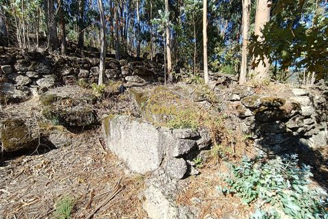 Helårsgrund i Terras de Bouro, Braga, Terras de Bouro - € 80.000 | Ref: ONE141494-53 - foto 13