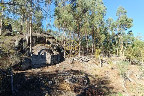 Helårsgrund i Terras de Bouro, Braga, Terras de Bouro - € 80.000 | Ref: ONE141494-53 - foto 16