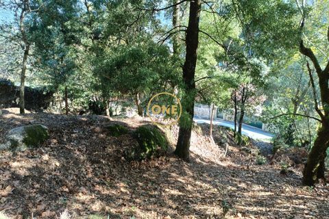 Helårsgrund i Terras de Bouro, Braga, Terras de Bouro - € 80.000 | Ref: ONE141494-53 - foto 17