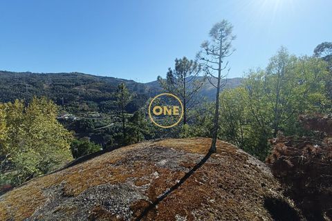Helårsgrund i Terras de Bouro, Braga, Terras de Bouro - € 80.000 | Ref: ONE141494-53 - foto 18