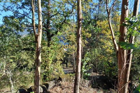 Helårsgrund i Terras de Bouro, Braga, Terras de Bouro - € 80.000 | Ref: ONE141494-53 - foto 20