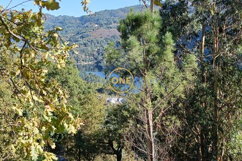 Helårsgrund i Terras de Bouro, Braga, Terras de Bouro - € 80.000 | Ref: ONE141494-53 - foto 21