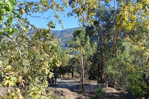 Helårsgrund i Terras de Bouro, Braga, Terras de Bouro - € 80.000 | Ref: ONE141494-53 - foto 22